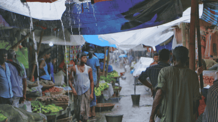 ২০টি নতুন লাভজনক ব্যবসা যা গ্রামে শুরু করলে লাভবান হবেন।