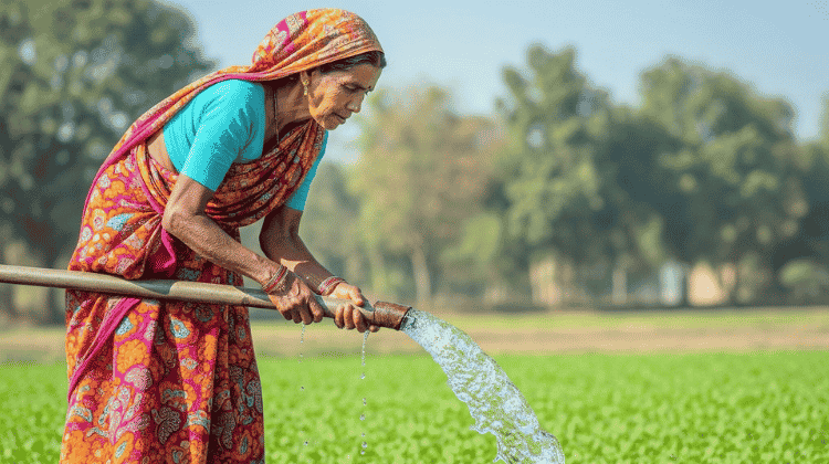 মহিলাদের ঘরে বসে ইনকাম / আয়